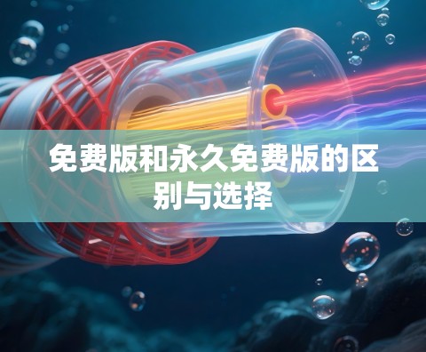 免费版和永久免费版的区别与选择