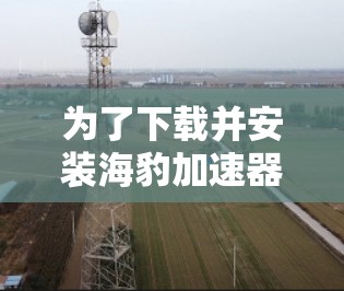 为了下载并安装海豹加速器的免费版，可以按照以下步骤进行