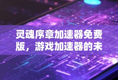 灵魂序章加速器免费版，游戏加速器的未来挑战与创新