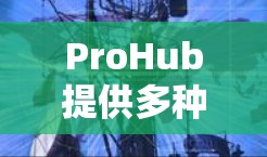 ProHub提供多种免费的加速器服务,帮助用户解决常见网络问题,适用于视频加速、文件上传和下载速度慢等场景。以下是一些具体的使用方法和信息 ProHub提供多种免费的加速器服务,帮助用户解决常见网络问题,适用于视频加速、文件上传和下载速度慢等场景。以下是一些具体的使用方法和信息