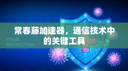 常春藤加速器，通信技术中的关键工具