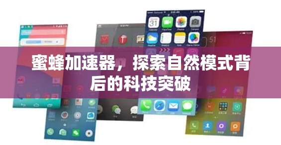 蜜蜂加速器，探索自然模式背后的科技突破