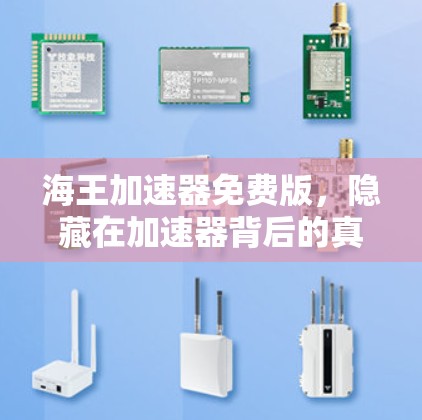 海王加速器免费版，隐藏在加速器背后的真实力量