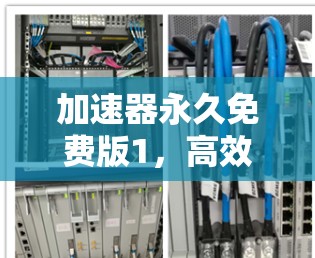 加速器永久免费版1，高效网络连接的全能工具