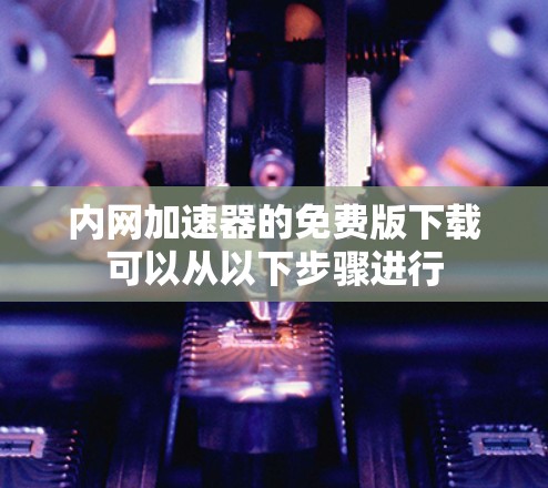 内网加速器的免费版下载可以从以下步骤进行