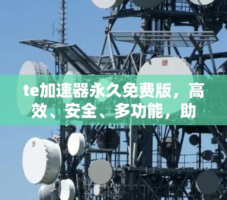 te加速器永久免费版，高效、安全、多功能，助力通信效率提升！