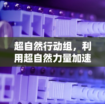 超自然行动组，利用超自然力量加速网络，保护数据安全