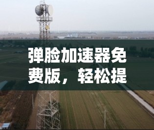 弹脸加速器免费版，轻松提升图片质量，让创意作品焕发新光彩