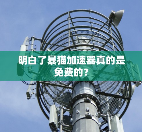 明白了暴猫加速器真的是免费的? 明白了暴猫加速器真的是免费的?