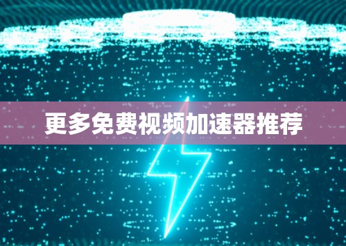更多免费视频加速器推荐