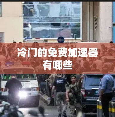 冷门的免费加速器有哪些 冷门的免费加速器有哪些