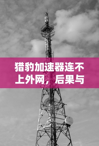 猎豹加速器连不上外网，后果与解决方案