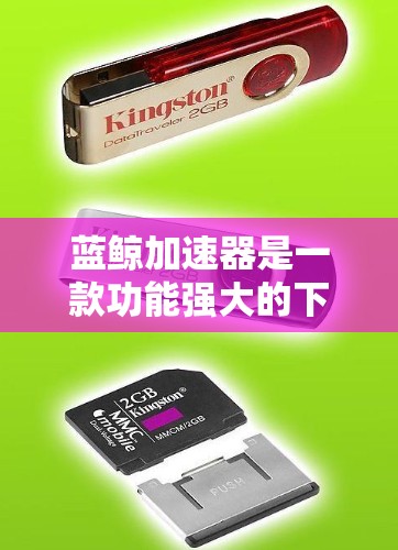 蓝鲸加速器是一款功能强大的下载加速工具，能够帮助用户更快地下载大量资源。如果您想在上外网上使用蓝鲸加速器，通常需要按照以下步骤操作