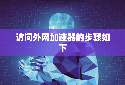 访问外网加速器的步骤如下