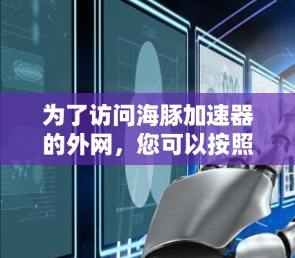 为了访问海豚加速器的外网，您可以按照以下步骤操作