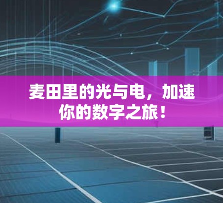 麦田里的光与电，加速你的数字之旅！