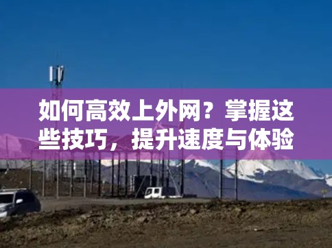 如何高效上外网？掌握这些技巧，提升速度与体验！