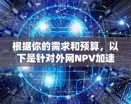 根据你的需求和预算，以下是针对外网NPV加速器的选择建议