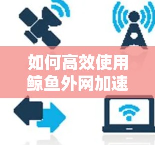 如何高效使用鲸鱼外网加速器？可靠的网络加速器推荐