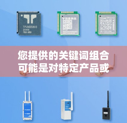 您提供的关键词组合可能是对特定产品或设备的需求描述。以下是一些可能的解释和建议