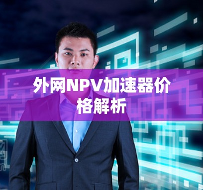 外网NPV加速器价格解析