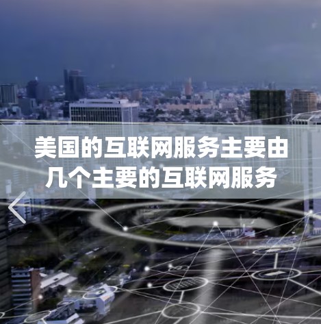 美国的互联网服务主要由几个主要的互联网服务提供商运营，包括美国的AT&T、Verizon、Cox、T-Mobile和MCI网络等。这些提供商提供不同的网络服务，如Wi-Fi、VPN、数据服务等
