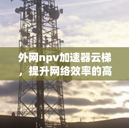 外网npv加速器云梯，提升网络效率的高效解决方案