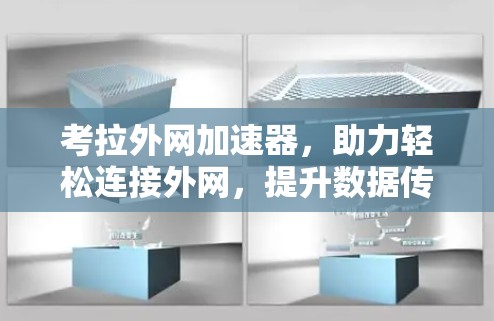 考拉外网加速器，助力轻松连接外网，提升数据传输效率
