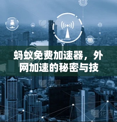 蚂蚁免费加速器,外网加速的秘密与技巧 蚂蚁免费加速器,外网加速的秘密与技巧