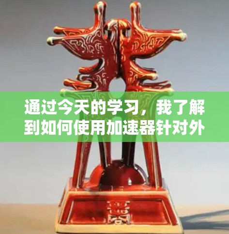 通过今天的学习，我了解到如何使用加速器针对外网进行优化，以下是总结