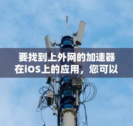 要找到上外网的加速器在iOS上的应用，您可以按照以下步骤操作