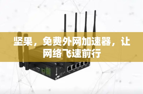 坚果,免费外网加速器,让网络飞速前行 坚果,免费外网加速器,让网络飞速前行