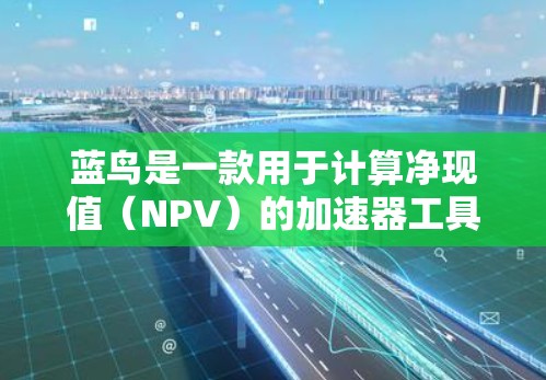 蓝鸟是一款用于计算净现值（NPV）的加速器工具。它可以帮助用户快速评估项目或投资的财务可行性。以下是对蓝鸟的详细分析
