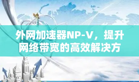 外网加速器NP-V，提升网络带宽的高效解决方案