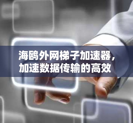 海鸥外网梯子加速器，加速数据传输的高效 routes
