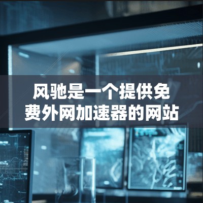 风驰是一个提供免费外网加速器的网站，适合快速访问互联网的用户。以下是对风驰的详细分析和推荐