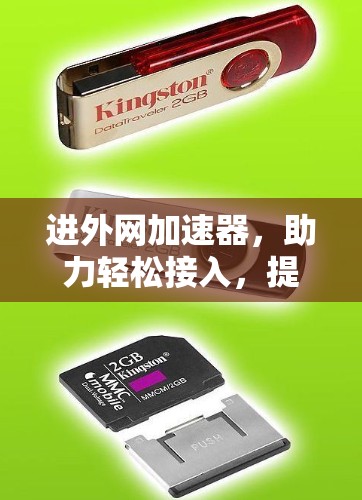 进外网加速器，助力轻松接入，提升网络性能的优质解决方案