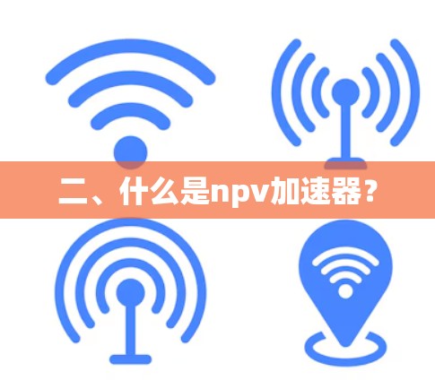 二、什么是npv加速器？