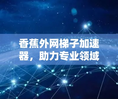香蕉外网梯子加速器，助力专业领域，提升使用效率