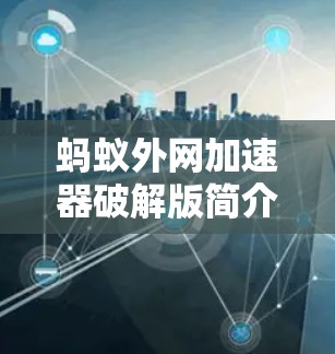 蚂蚁外网加速器破解版简介及功能解析