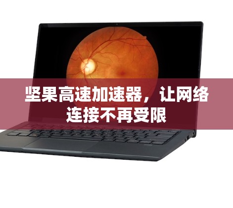 坚果高速加速器，让网络连接不再受限