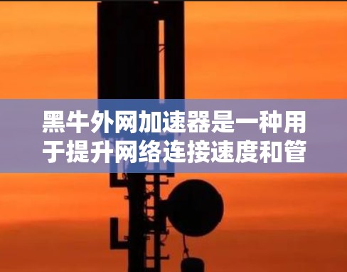 黑牛外网加速器是一种用于提升网络连接速度和管理缓存的工具。以下是其功能和使用方法的详细说明 黑牛外网加速器是一种用于提升网络连接速度和管理缓存的工具。以下是其功能和使用方法的详细说明