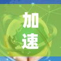 加速器之上的网络之旅，如何高效使用加速器上外网