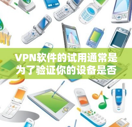 VPN软件的试用通常是为了验证你的设备是否可以运行该软件。虽然具体的步骤可能因软件而异，但一般来说，试用过程可能包括以下步骤