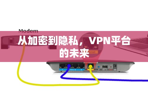 从加密到隐私，VPN平台的未来