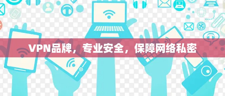 VPN品牌，专业安全，保障网络私密