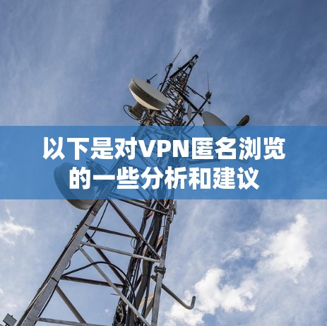 以下是对VPN匿名浏览的一些分析和建议