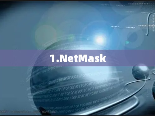 1.NetMask