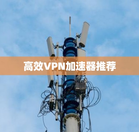 高效<strong>VPN加速器</strong>推荐