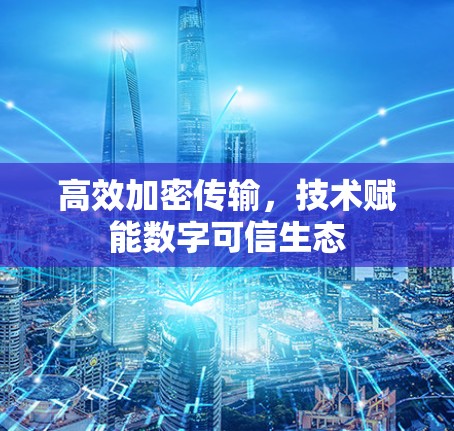 高效加密传输,技术赋能数字可信生态 高效加密传输,技术赋能数字可信生态